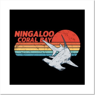 Ningaloo Coral Bay Hammerhead Shark Posters and Art